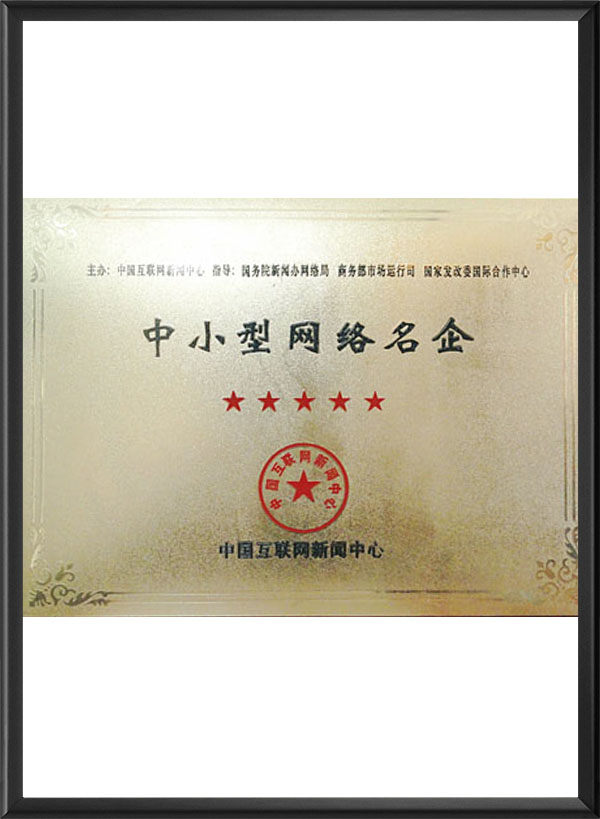 中小型网络名企